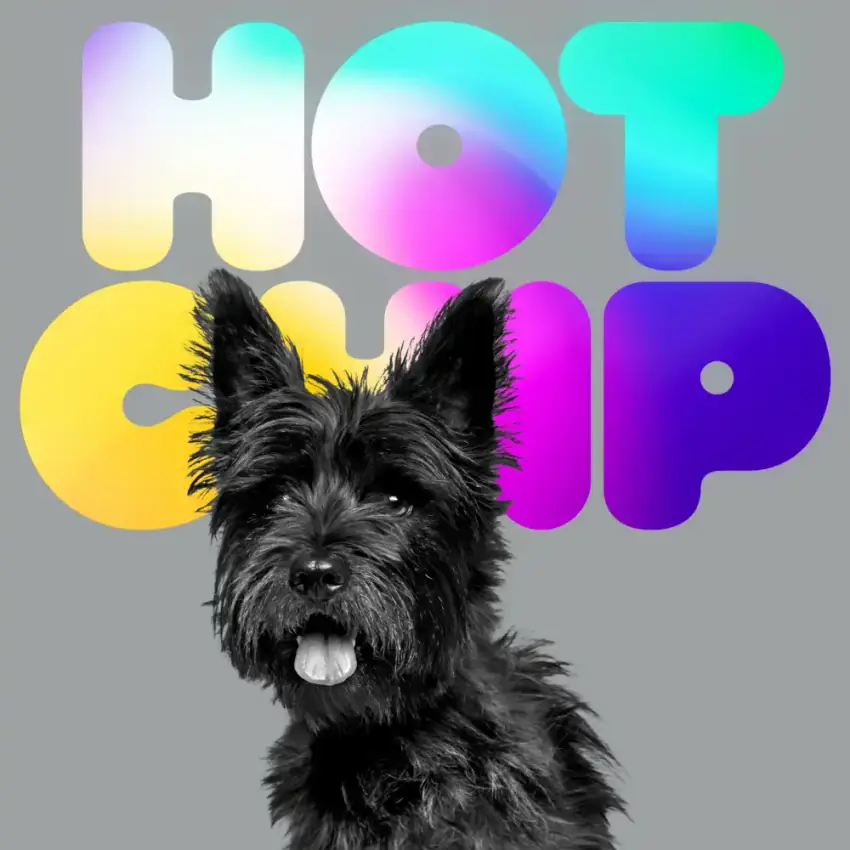 Hot Chip: annunciato il nono album "A Long Way From Kansas", in uscita l'8 gennaio 2027