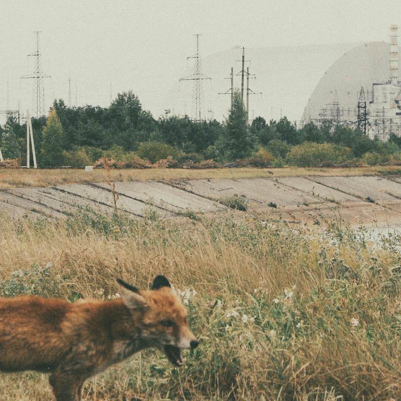 Threestepstotheocean: l'emersione del post-rock che non ti aspetti